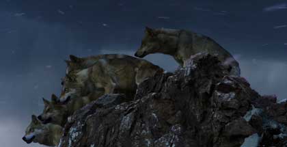 Le dernier loup de Jean-Jacques Annaud - Cine-Woman Le dernier loup de Jean-Jacques Annaud - Cine-Woman